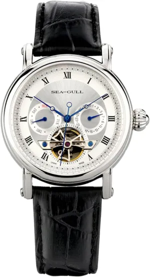 Classic Fashion Wrist Watch for Men 50m Waterproof D819.428, White, Classic Seagull Men's Mechanical Watches European data outrageous 42mm Automatic Flywheel Design 