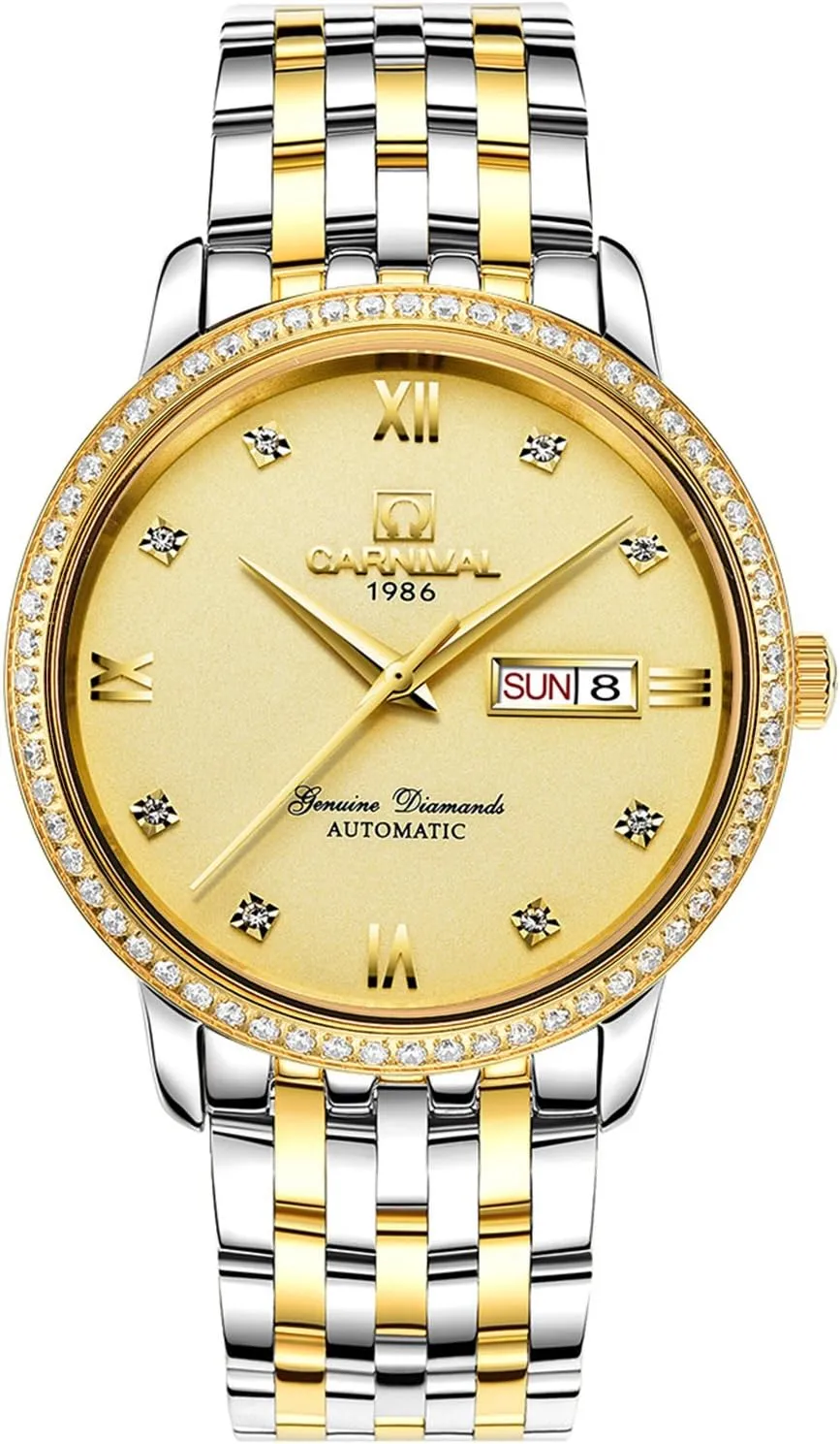 Dial Stainless Steel Band disability finely glean Day Week Watches PASOY Men Automatic Mechanical Watch Tourbillon Gold Diamond 