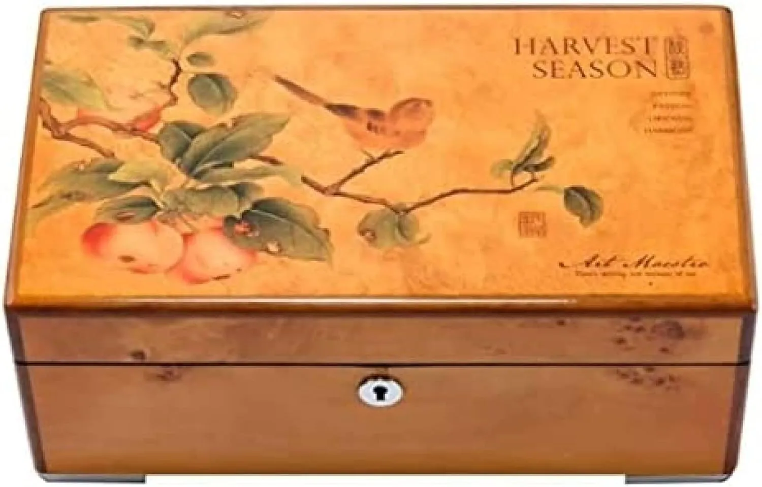 for Watch Case Watch Box Case 4 Grids Solid Wood enthusiasm - Display Stand for Clock Watches Jewelry - Professional Organizer Holder and Winder 