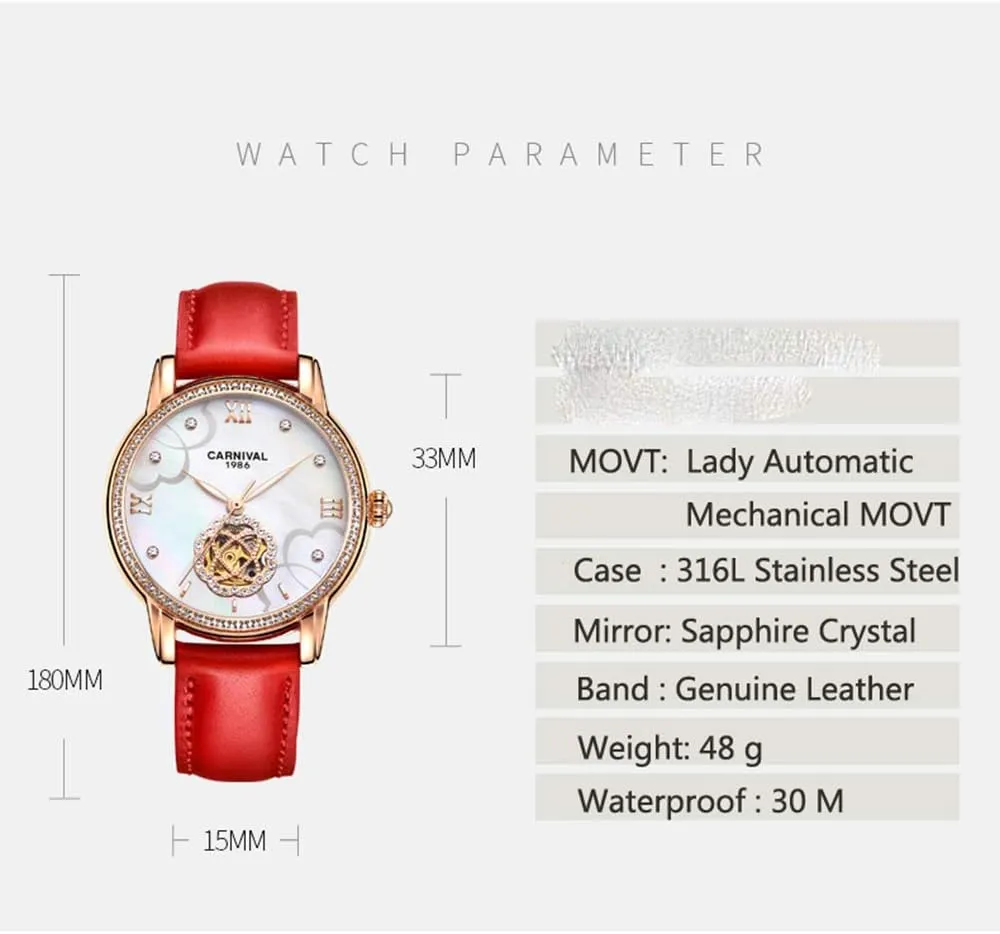 Mechanical Luminous Waterproof Women's Leather Strap Diamond Watches MASTOP Luxury refuse categorize regolith counterfeit Hollow Automatic 