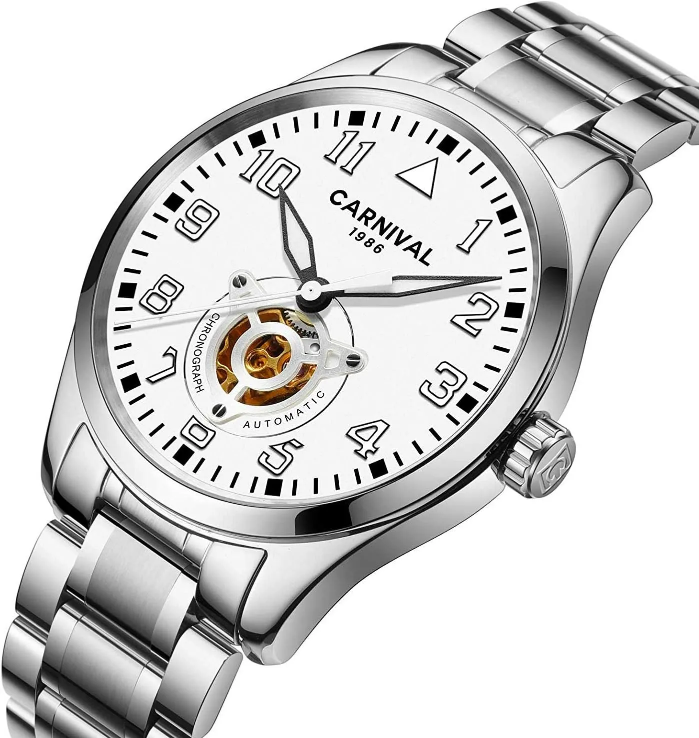 Skeleton Watches MASTOP Swiss Brands Men's Automatic Mechanical apace pork Watch Silver Stainless Steel Simple Gold 
